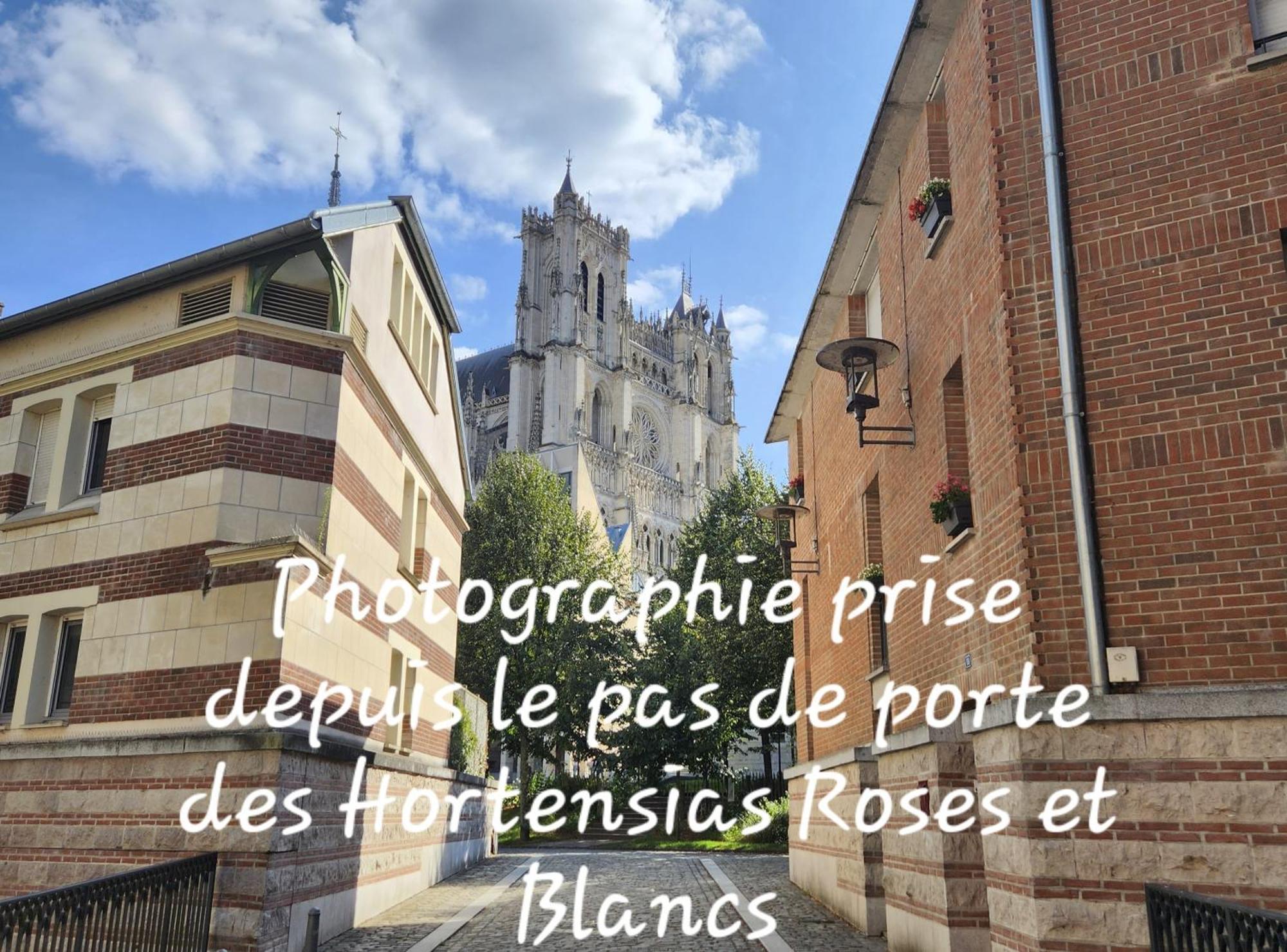 Les Hortensias Blancs Studio Амиен Екстериор снимка
